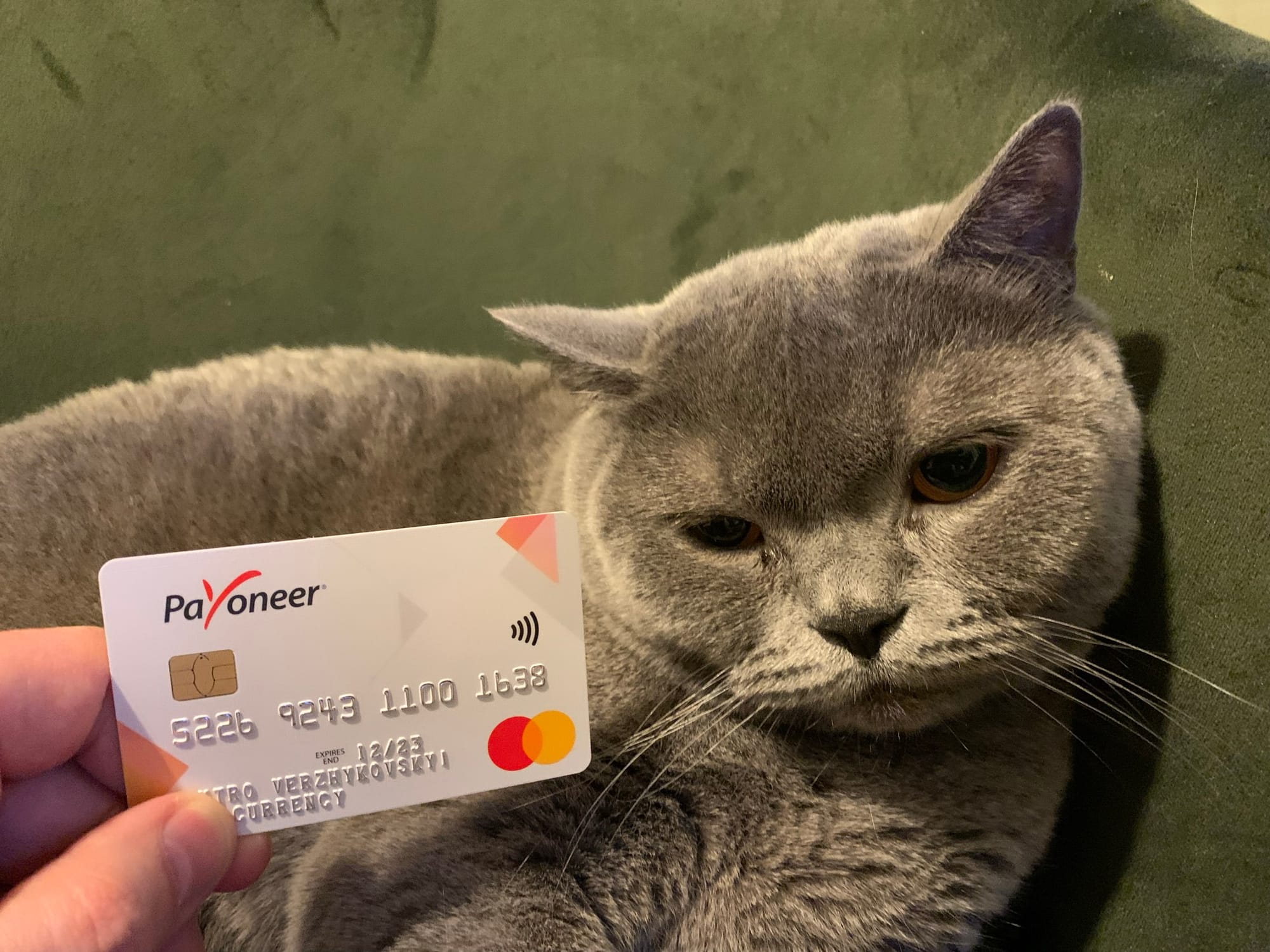 Payoneer під шквалом критики: що насправді пишуть клієнти на Trustpilot